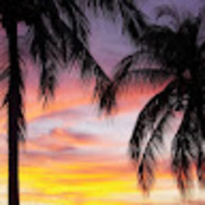 Meet your Posher, Audrey